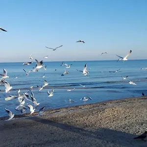  Apartament Przy Plaży